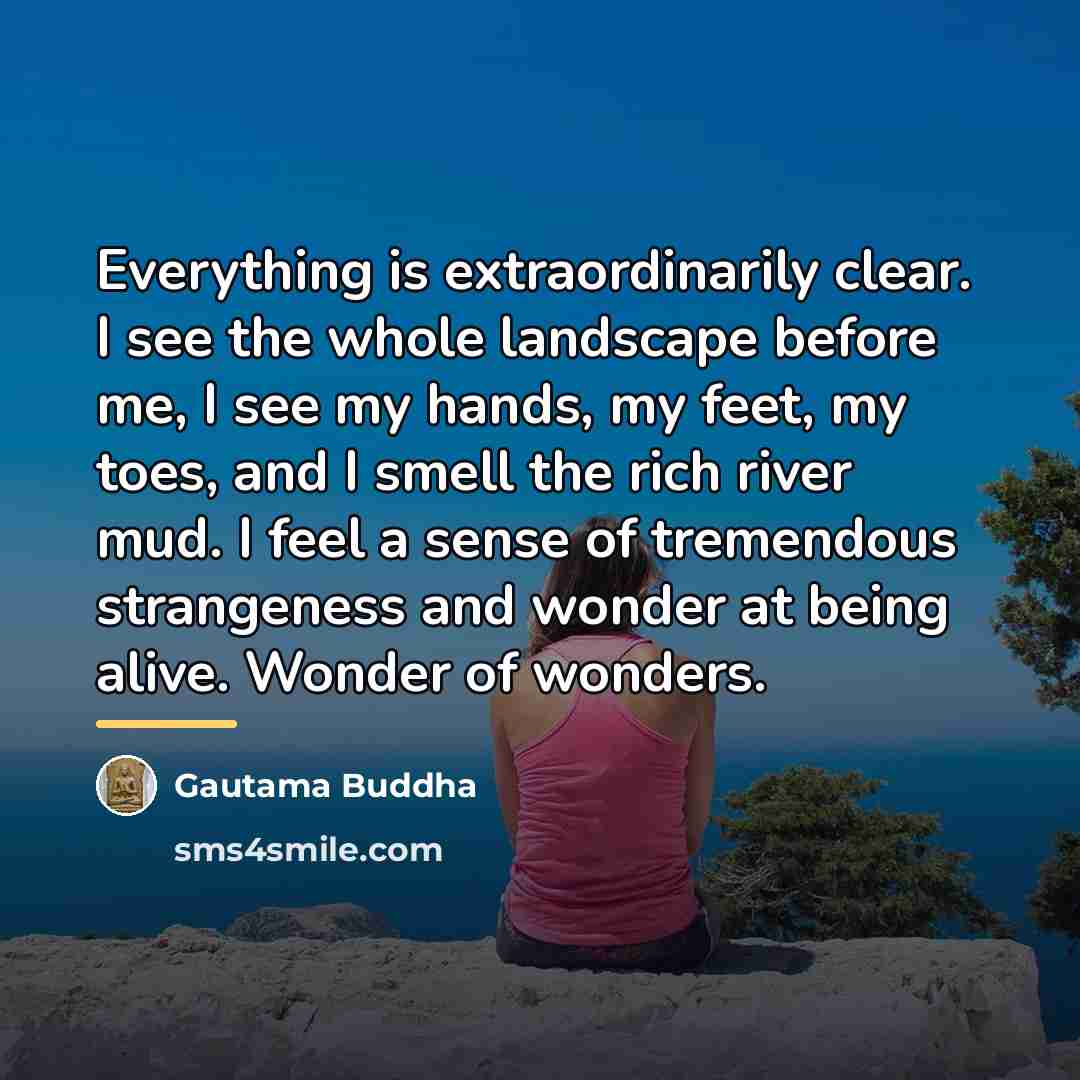 “Everything is extraordinarily clear. I see the whole landscape before…” quote by Gautama Buddha