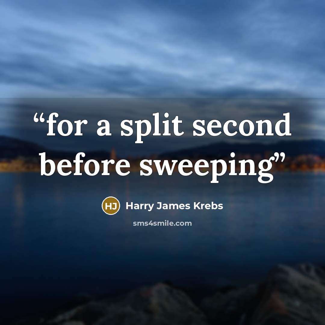 “for a split second before sweeping” quote by Harry James Krebs