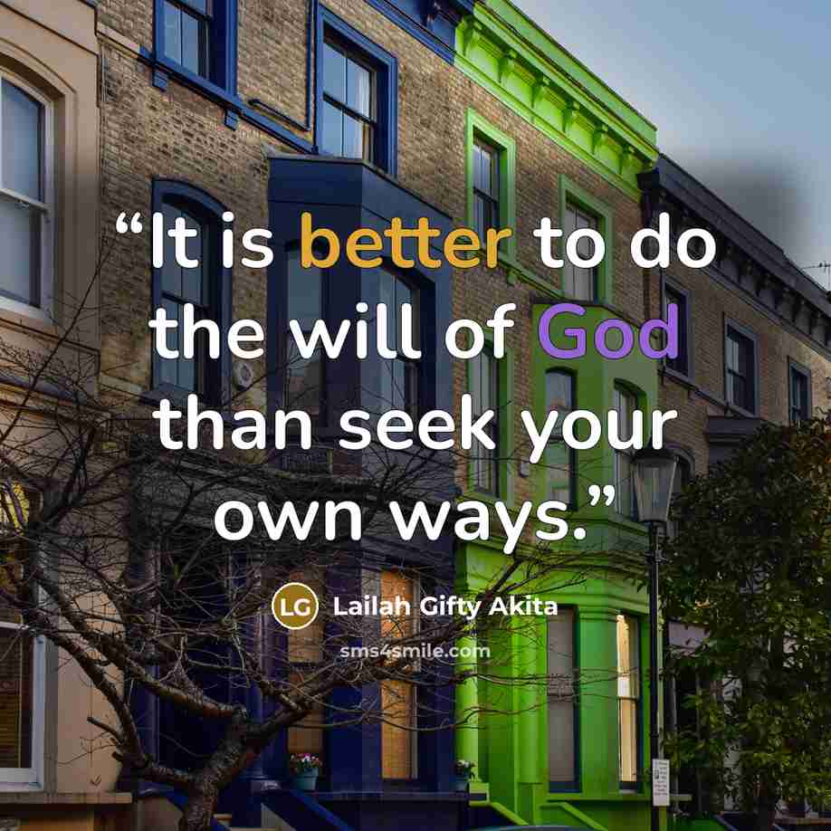 “It is better to do the will of God than seek your own ways.” quote by Lailah Gifty Akita