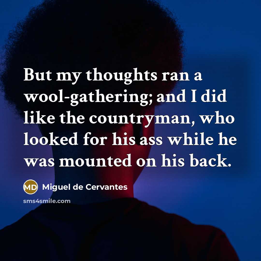 “But my thoughts ran a wool-gathering; and I did like…” quote by Miguel de Cervantes
