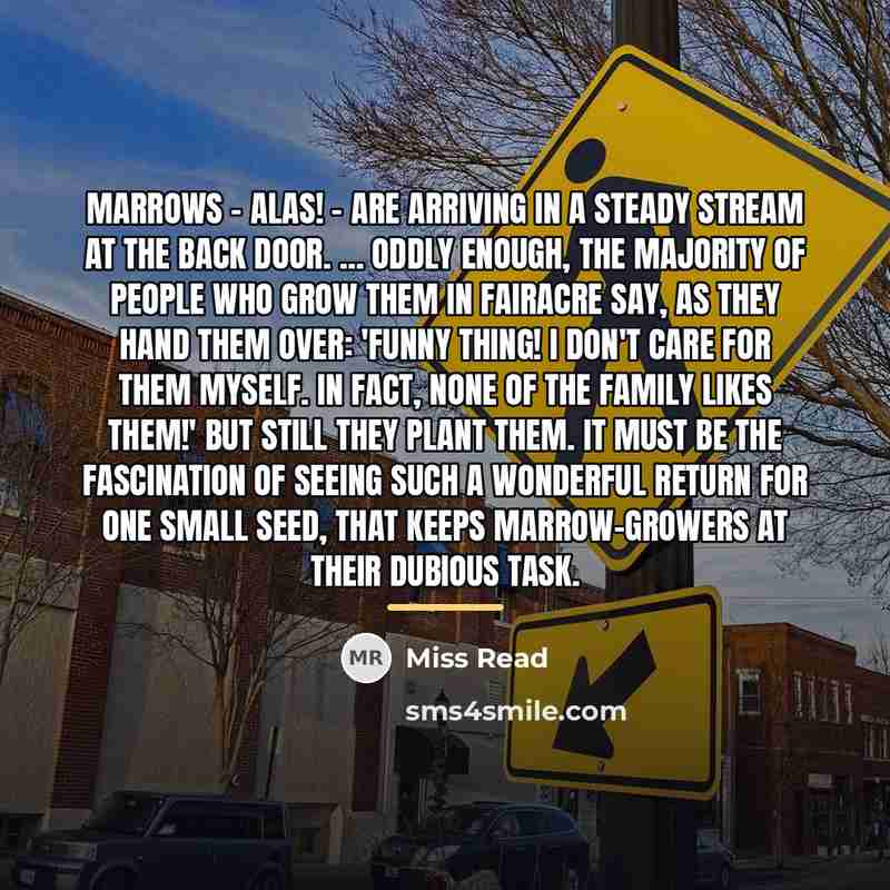 “marrows - alas! - are arriving in a steady stream…” quote by Miss Read