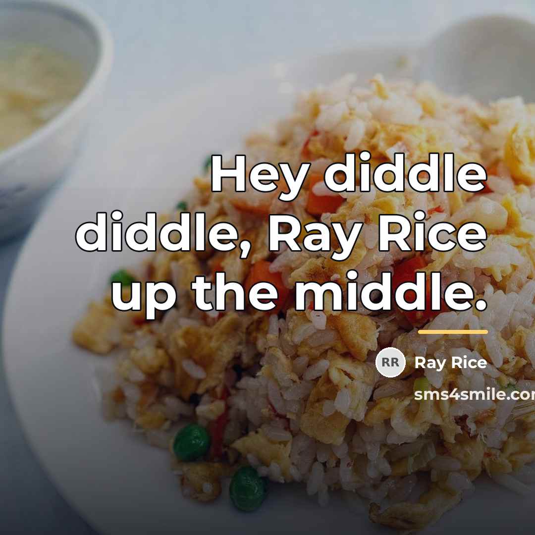 “Hey diddle diddle, Ray Rice up the middle.…” quote by Ray Rice