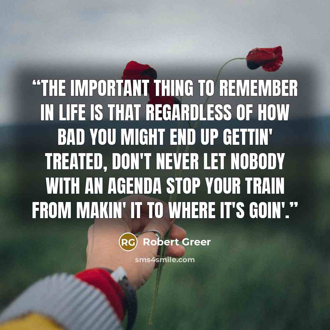 “The important thing to remember in life is that regardless of how bad you might end up gettin' treated, don't never let nobody with an agenda stop your train from makin' it to where it's goin'.” quote by Robert Greer