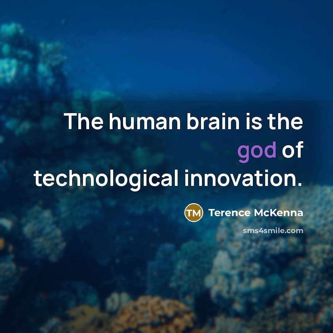“The human brain is the god of technological innovation.…” quote by Terence McKenna
