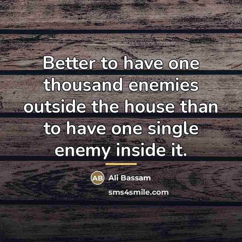 “Better to have one thousand enemies outside the house than…” quote by Ali Bassam