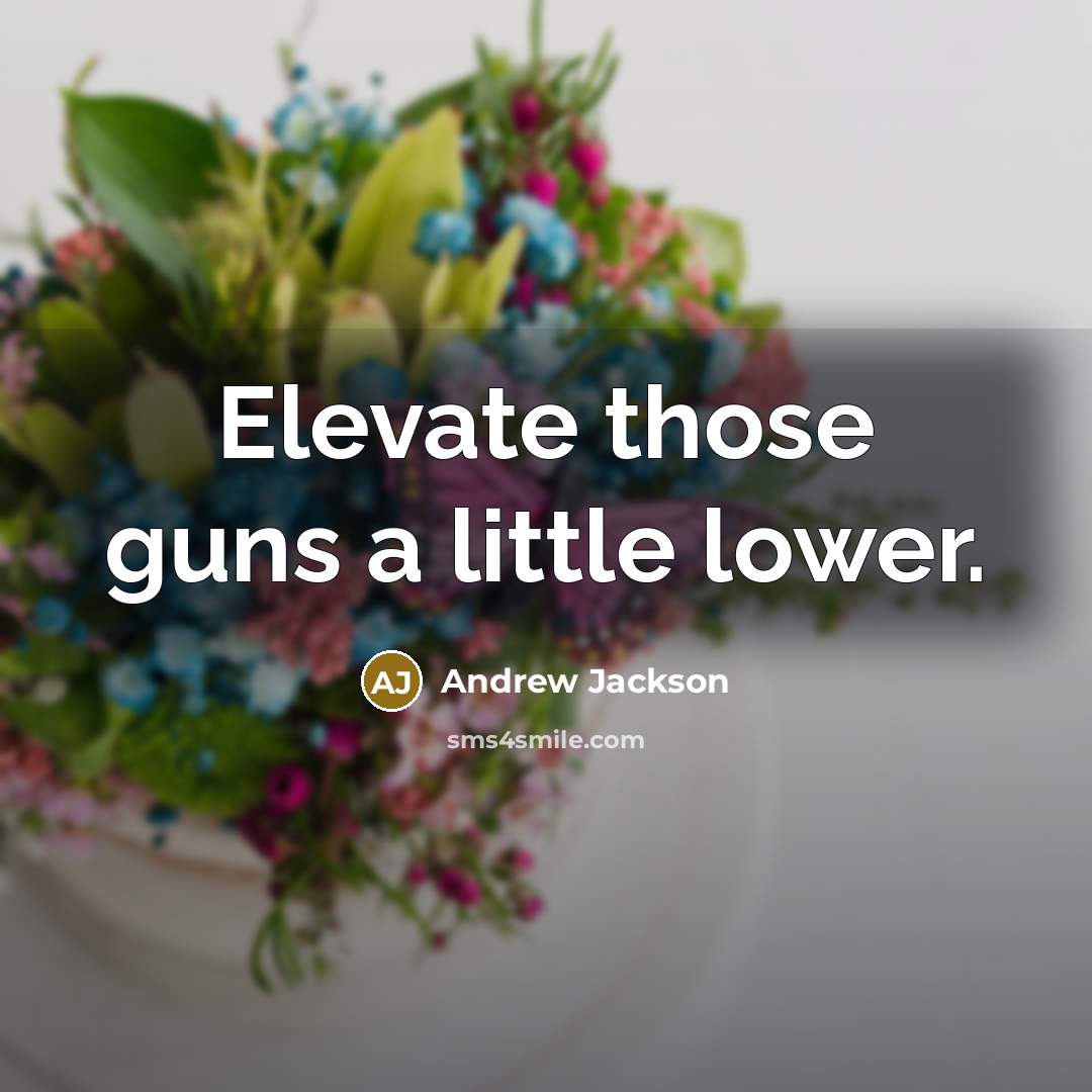 “Elevate those guns a little lower.…” quote by Andrew Jackson
