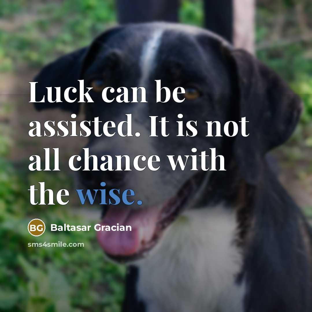 “Luck can be assisted. It is not all chance with…” quote by Baltasar Gracian