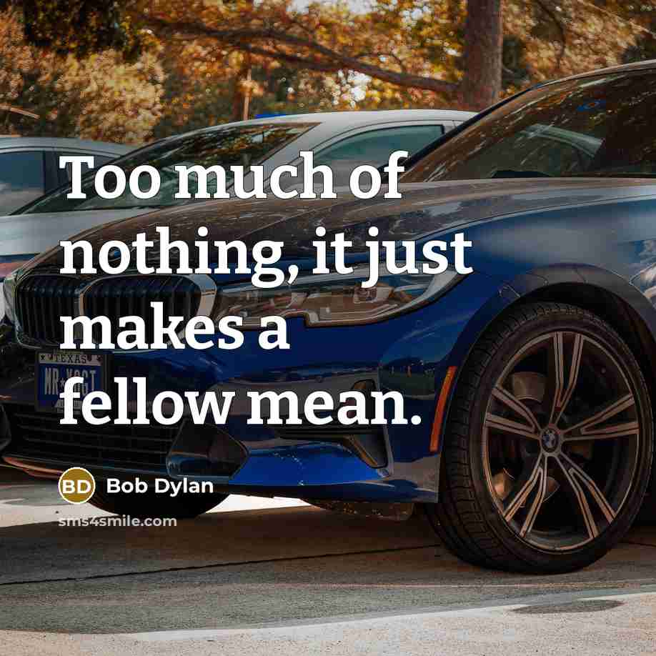 “Too much of nothing, it just makes a fellow mean.” quote by Bob Dylan