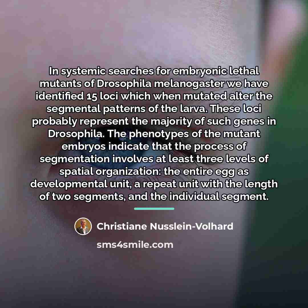 “In systemic searches for embryonic lethal mutants of Drosophila melanogaster…” quote by Christiane Nusslein-Volhard