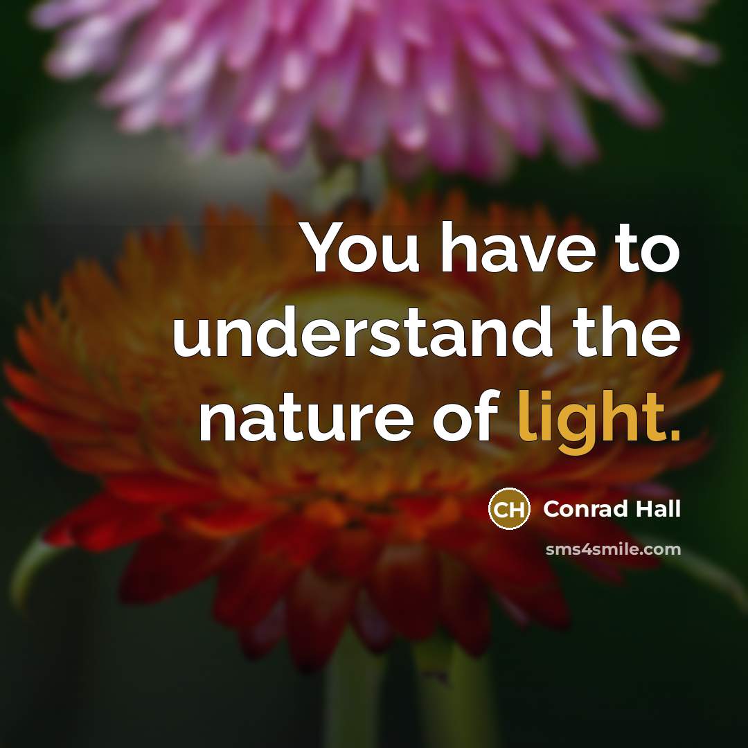“You have to understand the nature of light.…” quote by Conrad Hall