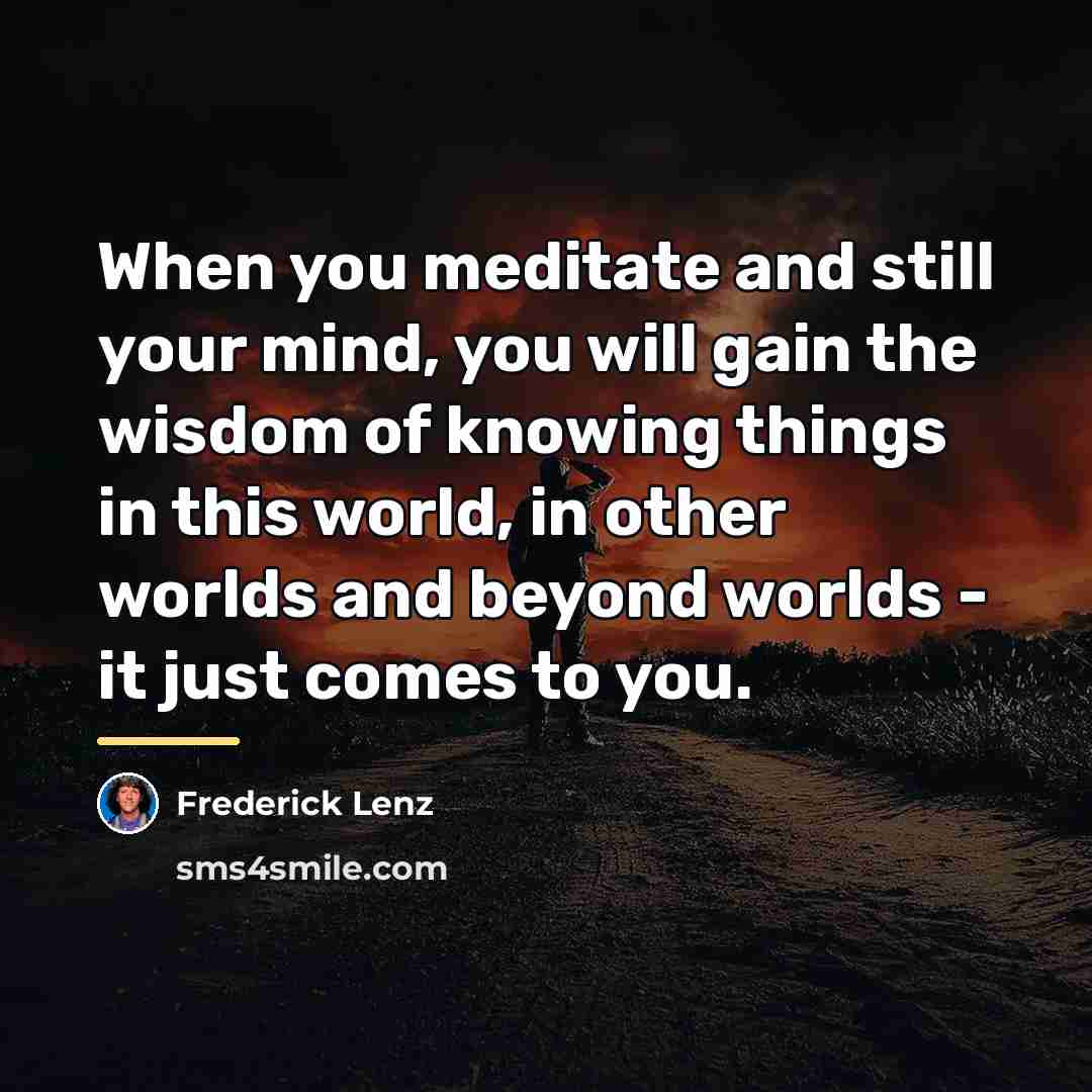 “When you meditate and still your mind, you will gain…” quote by Frederick Lenz