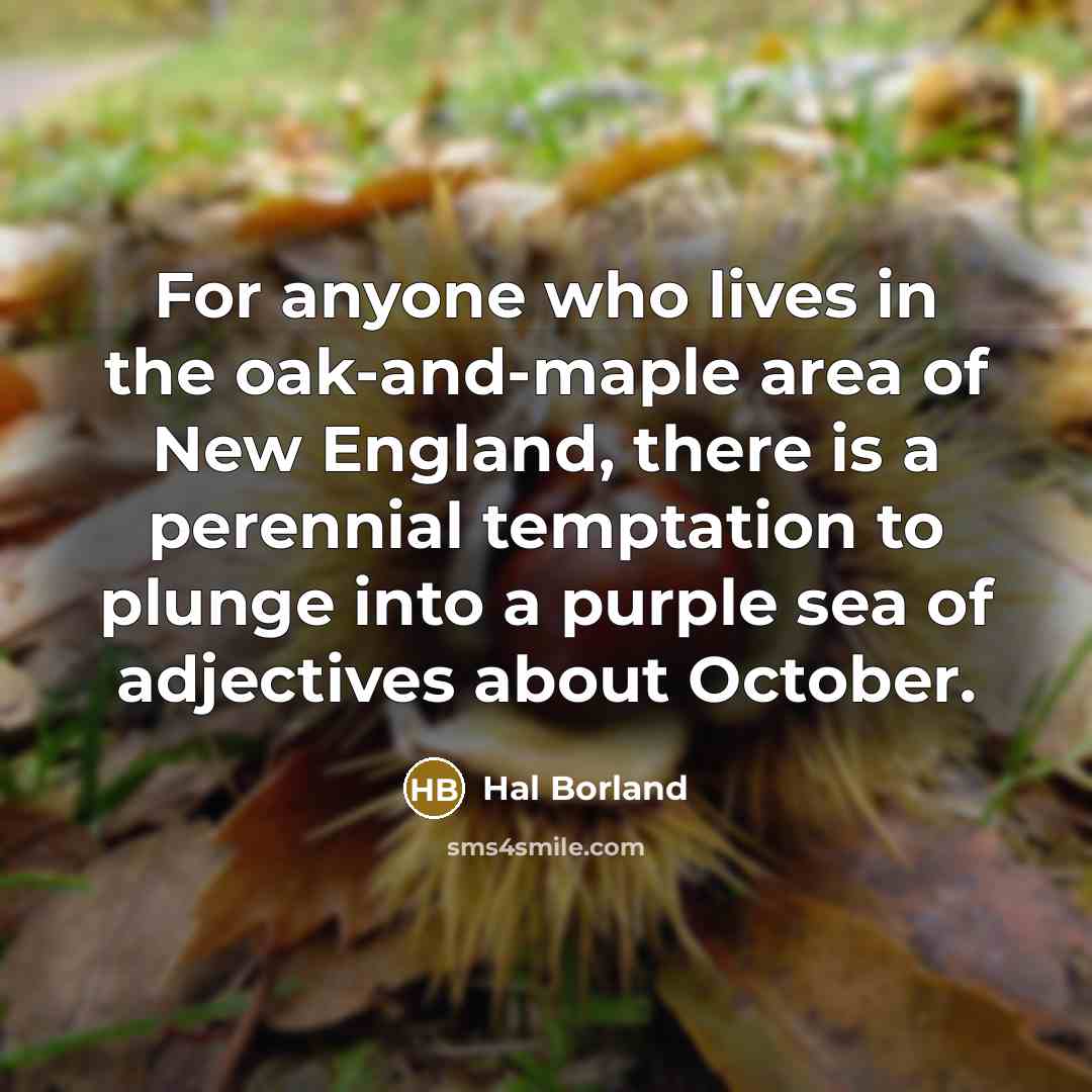 “For anyone who lives in the oak-and-maple area of New…” quote by Hal Borland