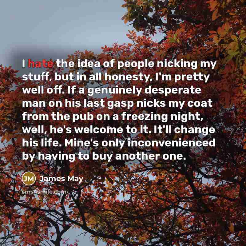 “I hate the idea of people nicking my stuff, but…” quote by James May