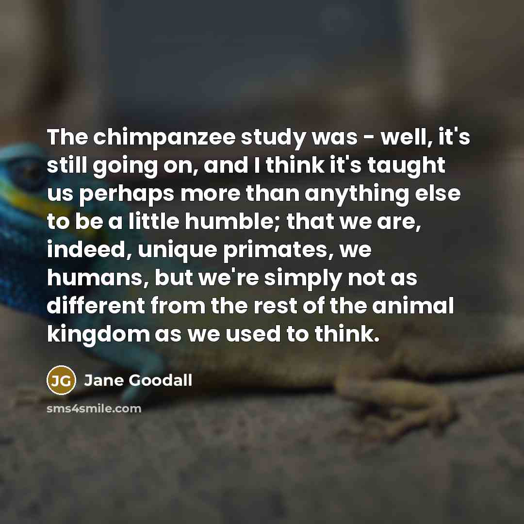“The chimpanzee study was - well, it's still going on,…” quote by Jane Goodall