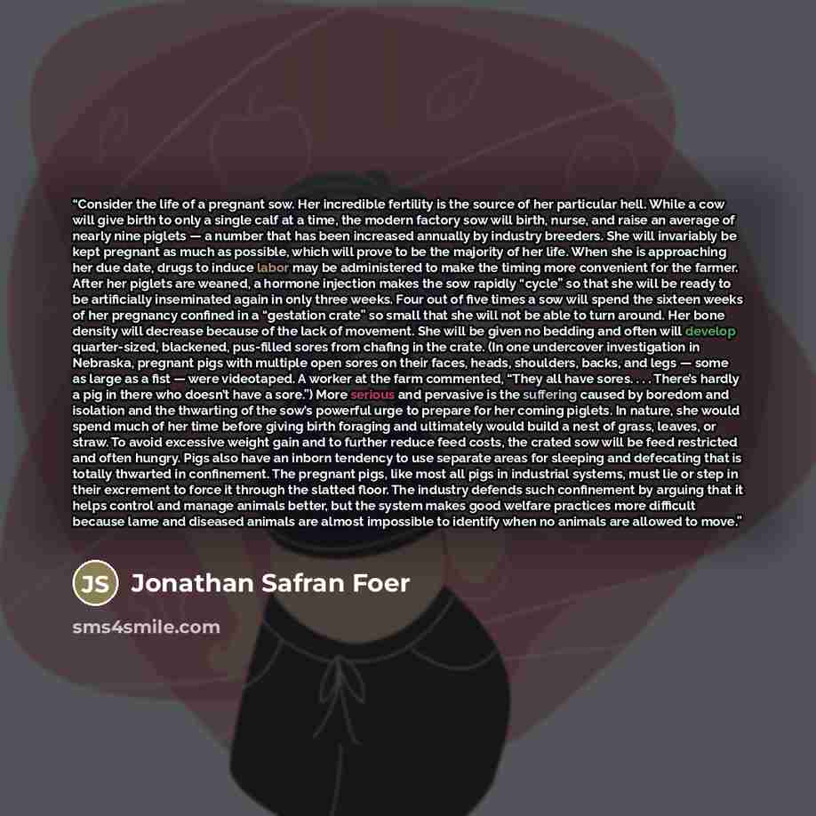 “Consider the life of a pregnant sow. Her incredible fertility is the source of her particular hell. While a cow will give birth to only a single calf at a time, the modern factory sow will birth, nurse, and raise an average of nearly nine piglets — a number that has been increased annually by…” quote by Jonathan Safran Foer