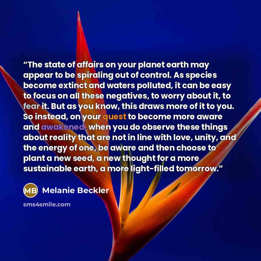 “The state of affairs on your planet earth may appear to be spiraling out of control. As species become extinct and waters polluted, it can be easy to focus on all these negatives, to worry about it, to fear it. But as you know, this draws more of it to you. So instead, on your quest to become more…” quote by Melanie Beckler