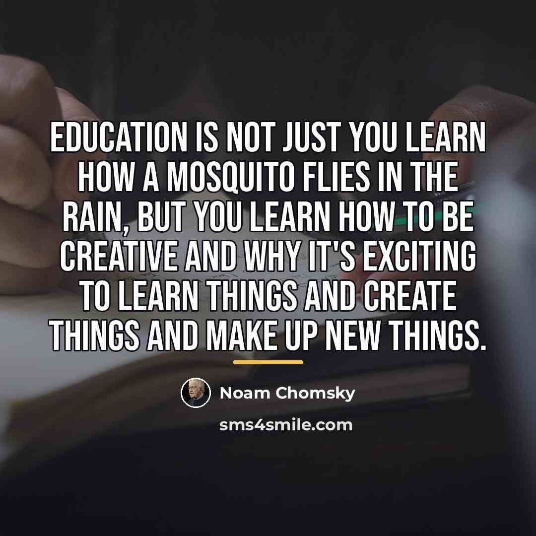 “Education is not just you learn how a mosquito flies…” quote by Noam Chomsky