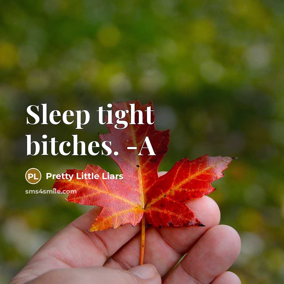 “Sleep tight bitches. -A” quote by Pretty Little Liars