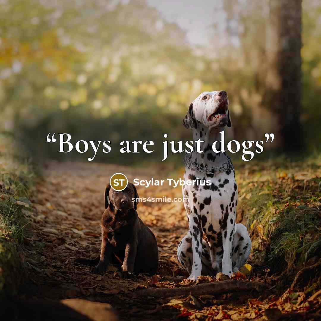 “Boys are just dogs” quote by Scylar Tyberius