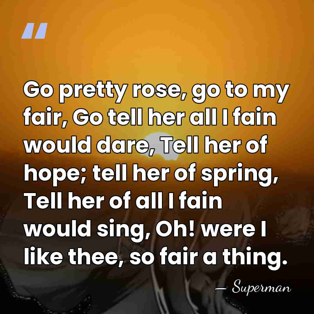 Go pretty rose, go to my fair, Go tell her all I&hellip; - Superman
