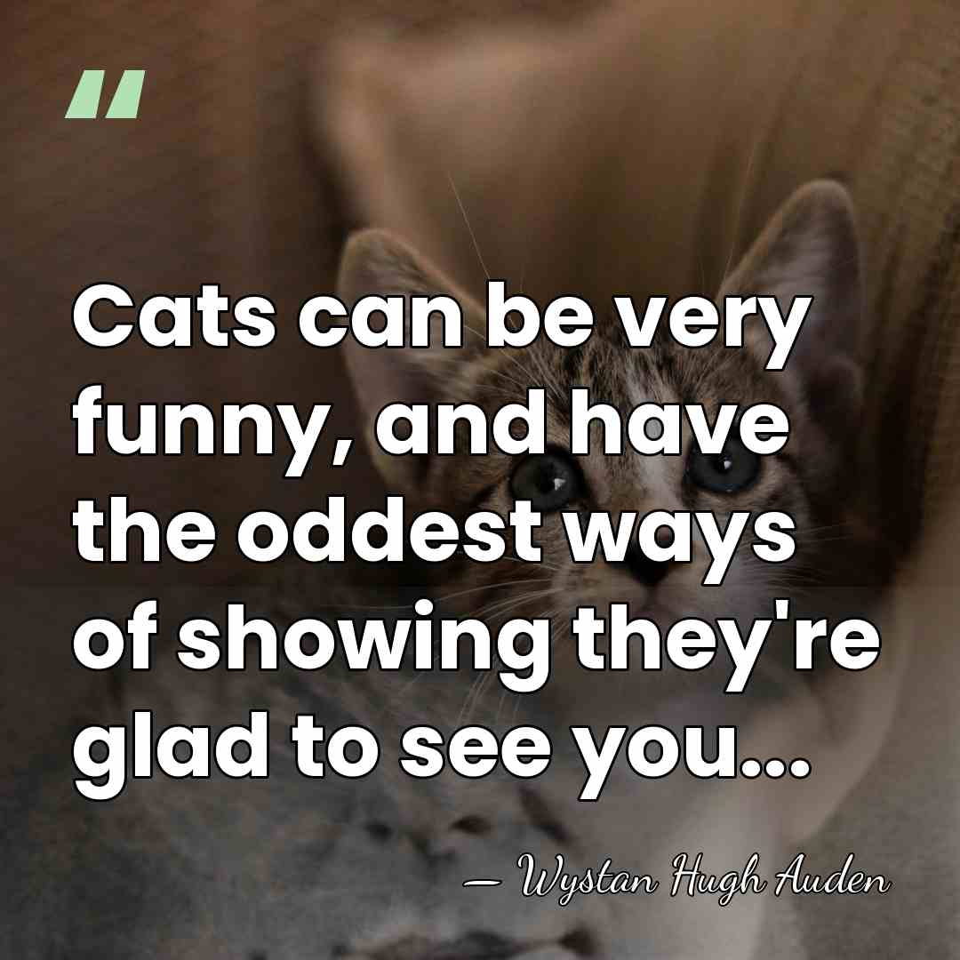 Cats can be very funny, and have the oddest ways of showing&hellip; - Wystan Hugh Auden