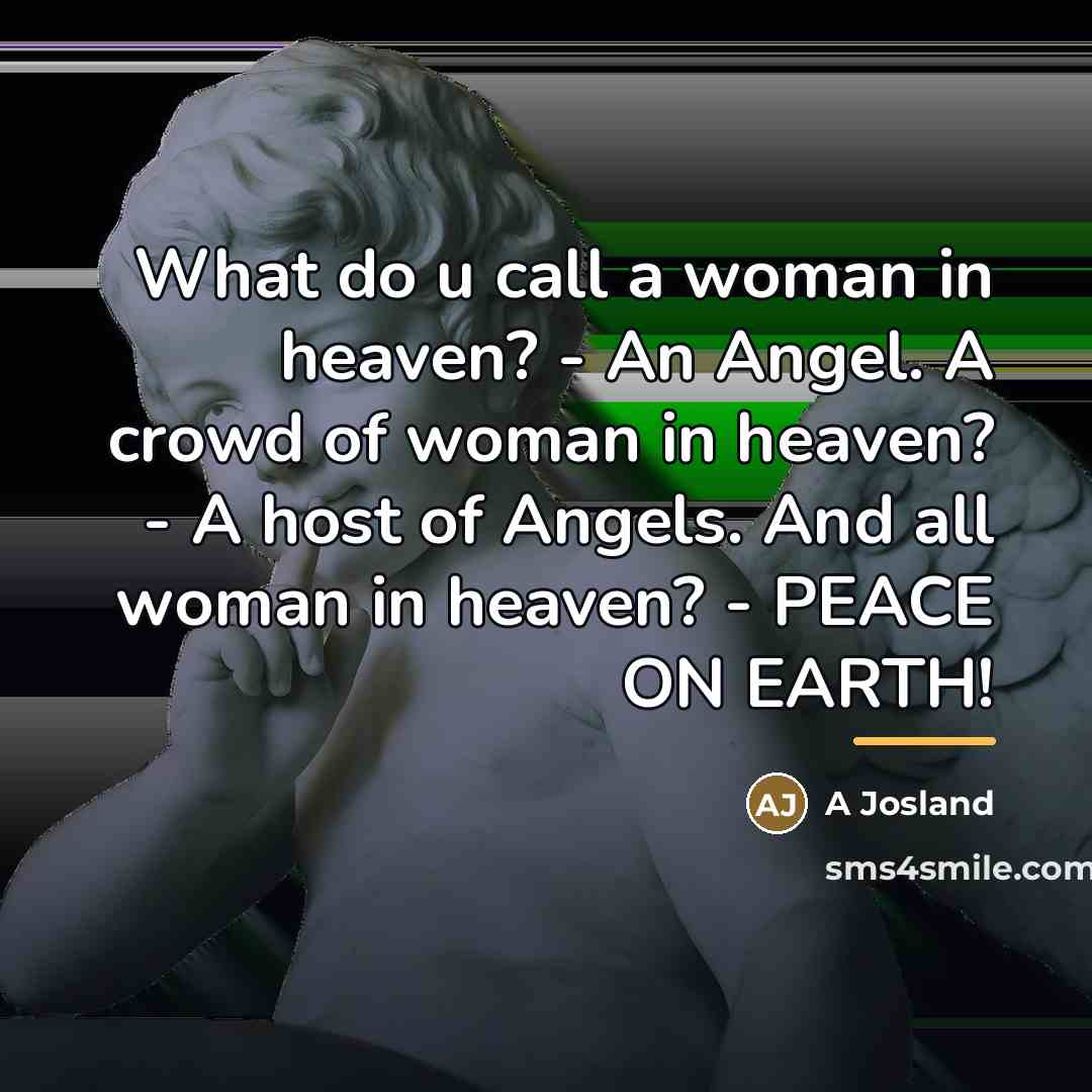 “What do u call a woman in heaven? - An…” quote by A Josland