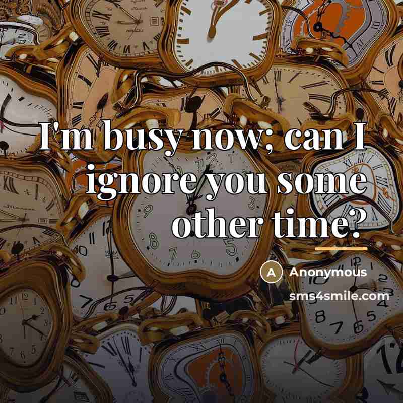“I'm busy now; can I ignore you some other time?…” quote by Anonymous