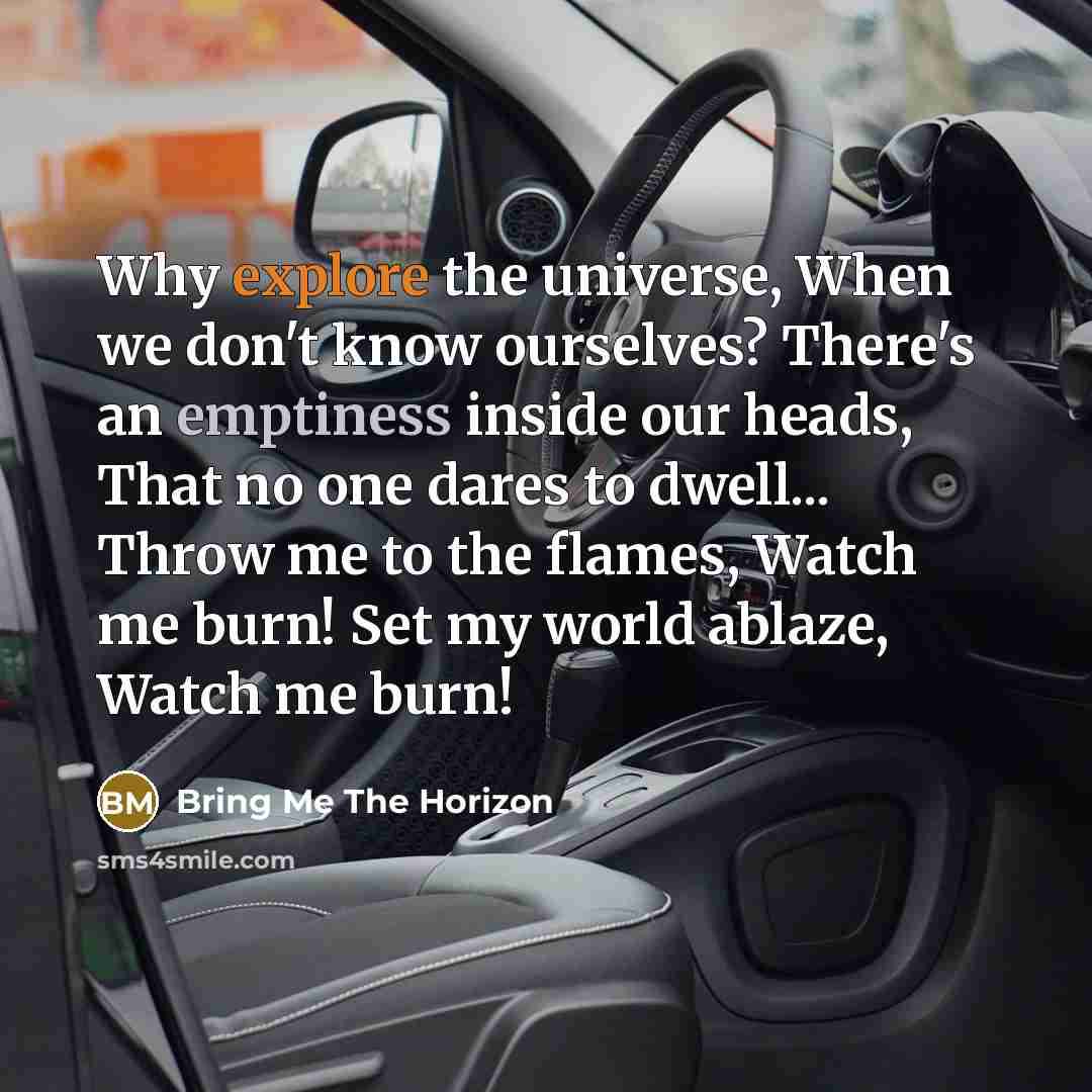 “Why explore the universe, When we don't know ourselves? There's an emptiness inside our heads, That no one dares to dwell... Throw me to the flames, Watch me burn! Set my world ablaze, Watch me burn!” quote by Bring Me The Horizon