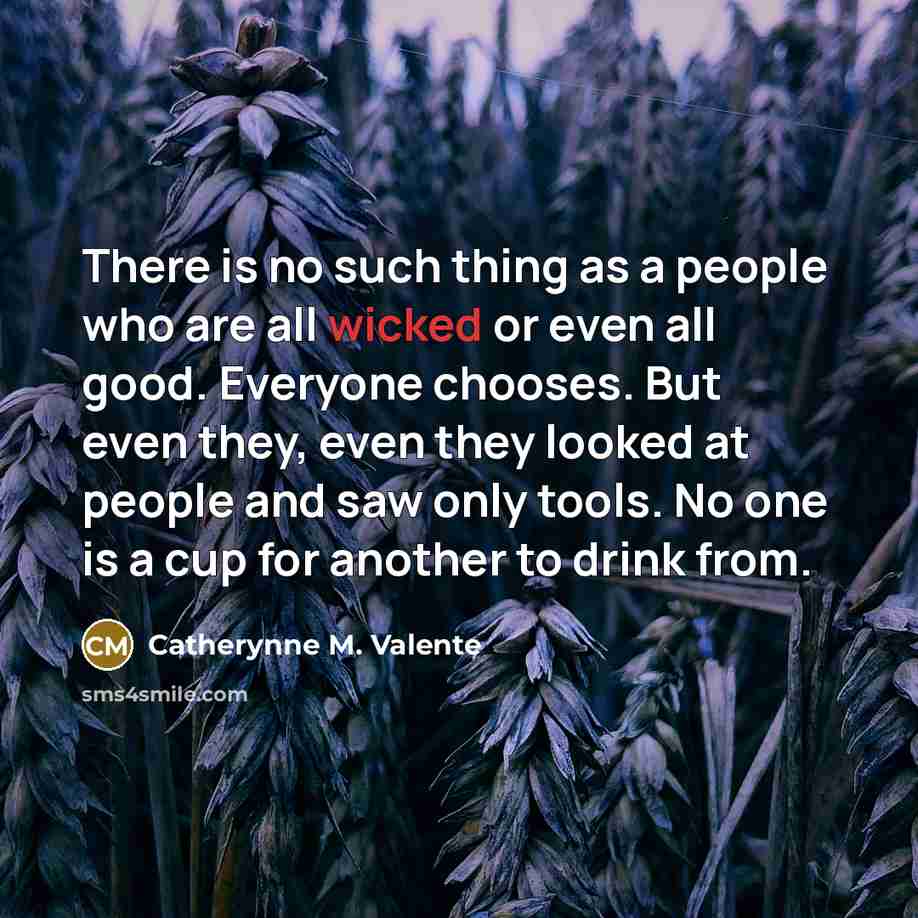 “There is no such thing as a people who are…” quote by Catherynne M. Valente