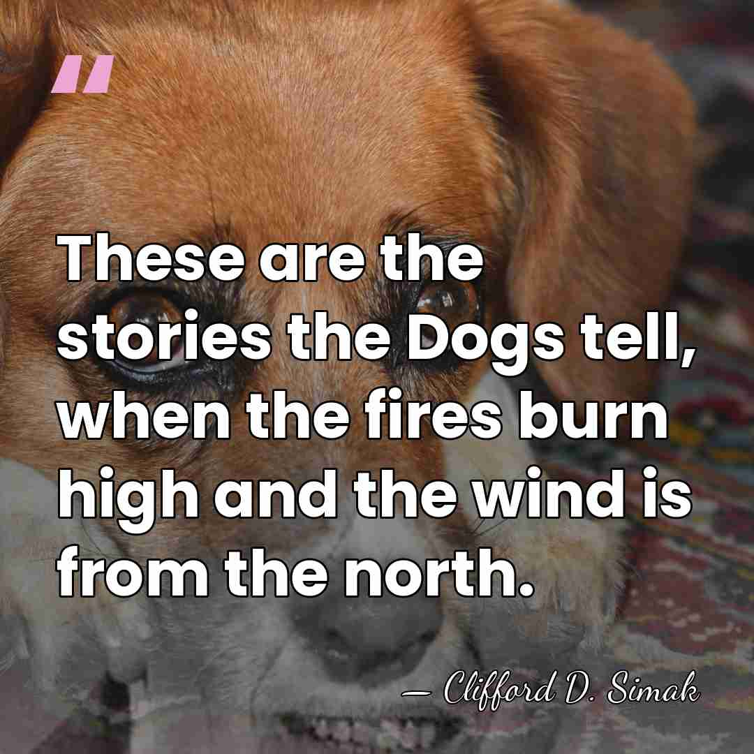These are the stories the Dogs tell, when the fires burn high&hellip; - Clifford D. Simak