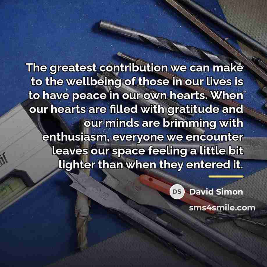 “The greatest contribution we can make to the wellbeing of…” quote by David Simon