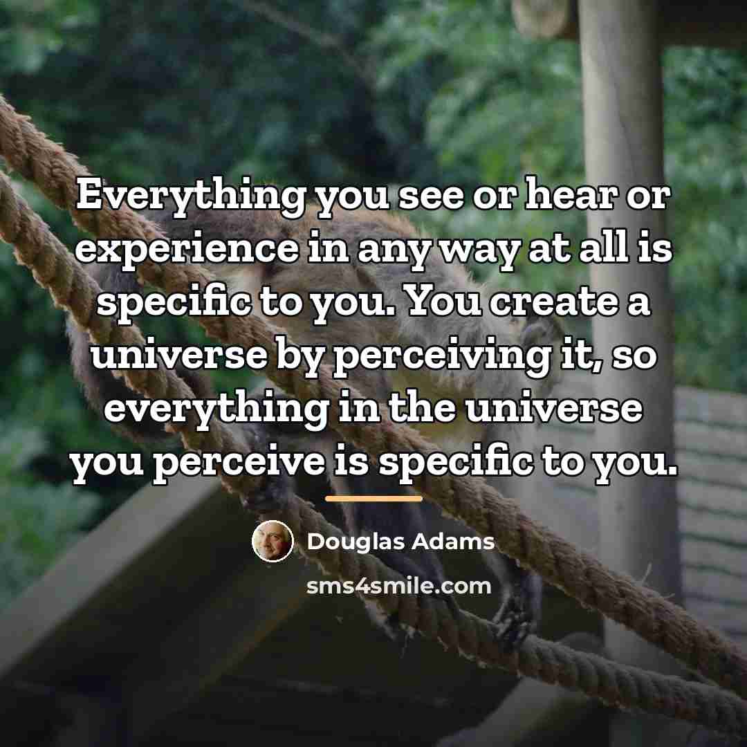“Everything you see or hear or experience in any way…” quote by Douglas Adams