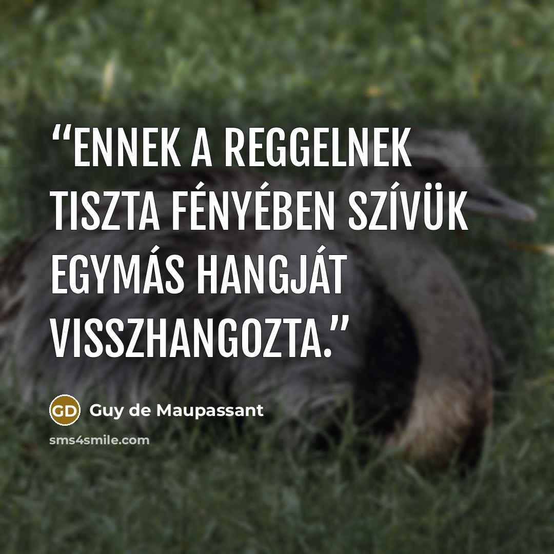 “Ennek a reggelnek tiszta fényében szívük egymás hangját visszhangozta.” quote by Guy de Maupassant
