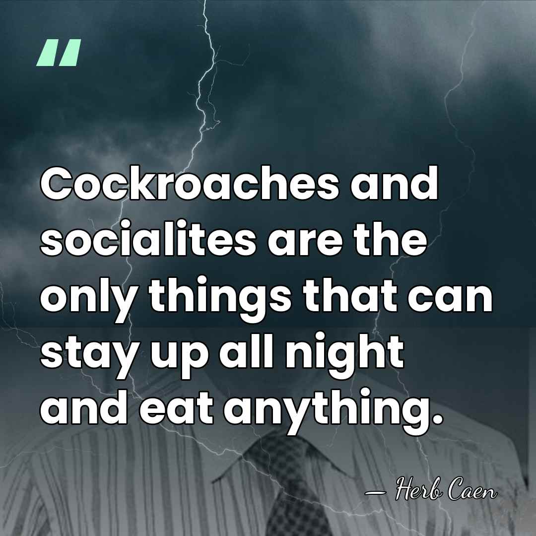 Cockroaches and socialites are the only things that can stay up all&hellip; - Herb Caen