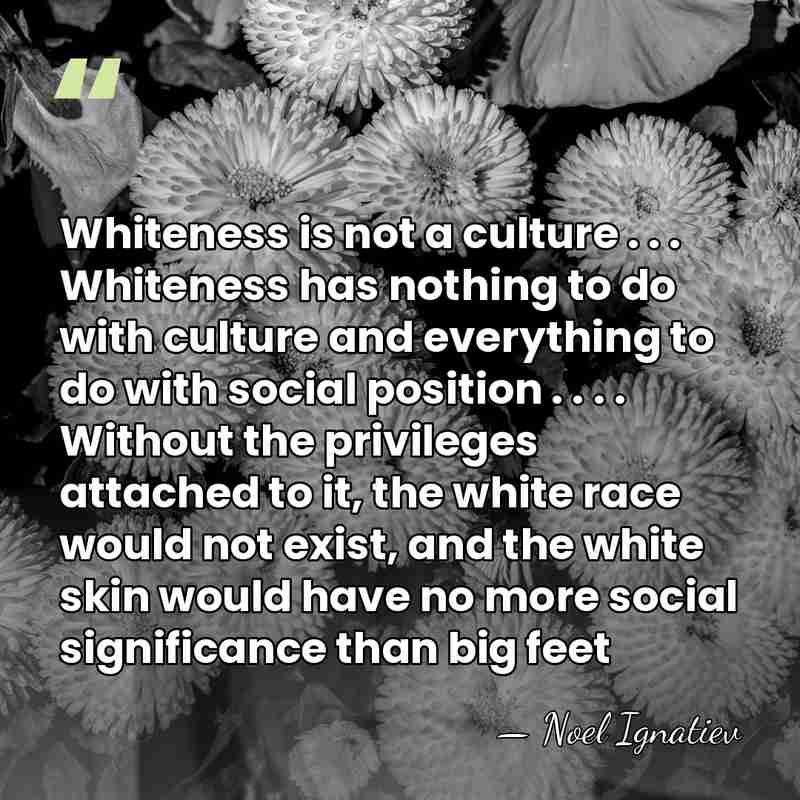 Whiteness is not a culture . . . Whiteness has nothing to&hellip; - Noel Ignatiev