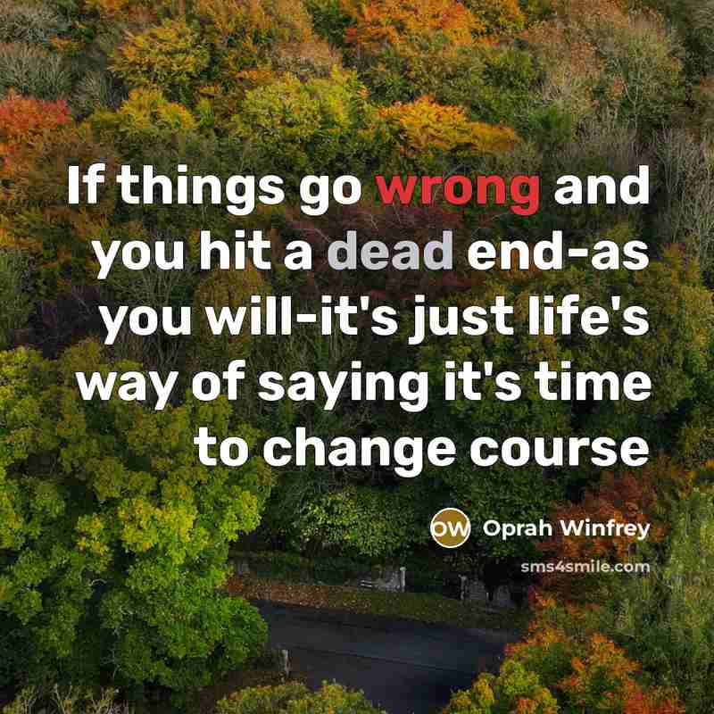 “If things go wrong and you hit a dead end-as you will-it's just life's way of saying it's time to change course” quote by Oprah Winfrey