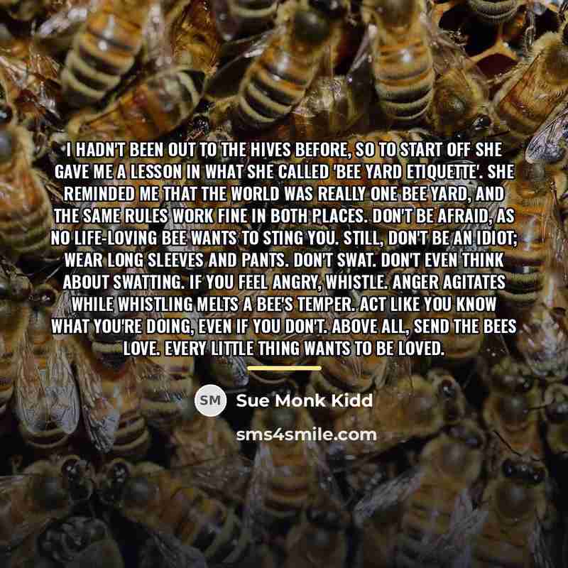 “I hadn't been out to the hives before, so to…” quote by Sue Monk Kidd