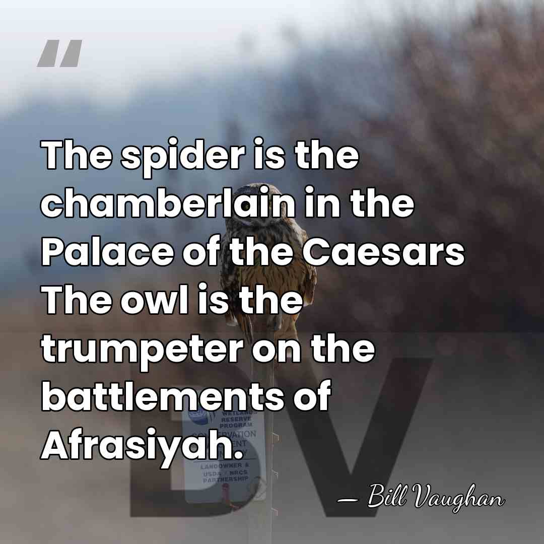 The spider is the chamberlain in the Palace of the Caesars The&hellip; - Bill Vaughan
