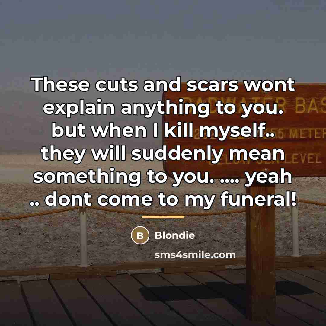 “These cuts and scars wont explain anything to you. but…” quote by Blondie