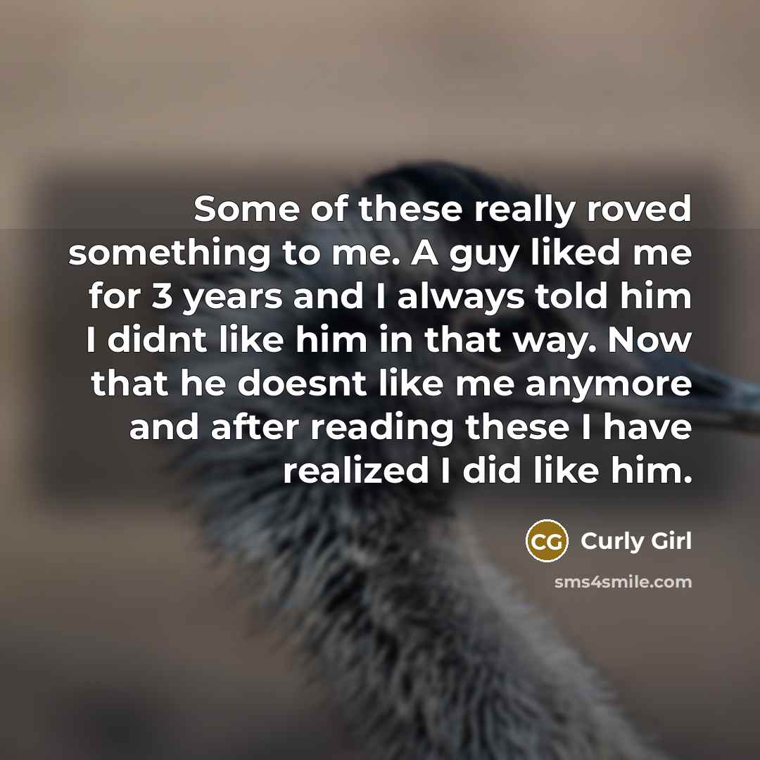 “Some of these really roved something to me. A guy liked me for 3 years and I always told him I didnt like him in that way. Now that he doesnt like me anymore and after reading these I have realized I did like him.” quote by Curly Girl