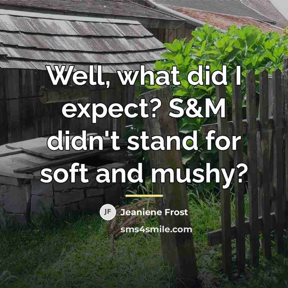 “Well, what did I expect? S&M didn't stand for soft…” quote by Jeaniene Frost