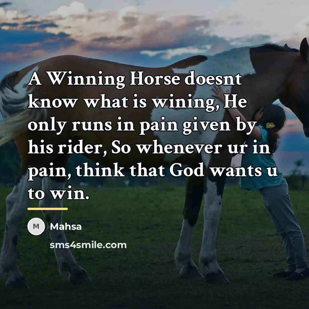 “A Winning Horse doesnt know what is wining, He only…” quote by Mahsa