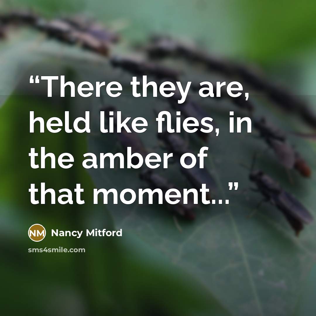 “There they are, held like flies, in the amber of that moment...” quote by Nancy Mitford