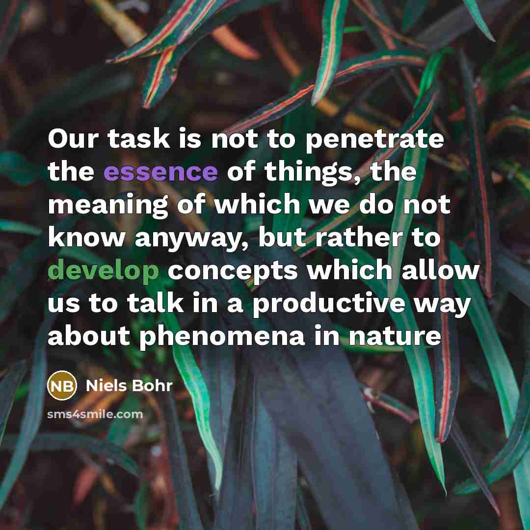 “Our task is not to penetrate the essence of things,…” quote by Niels Bohr
