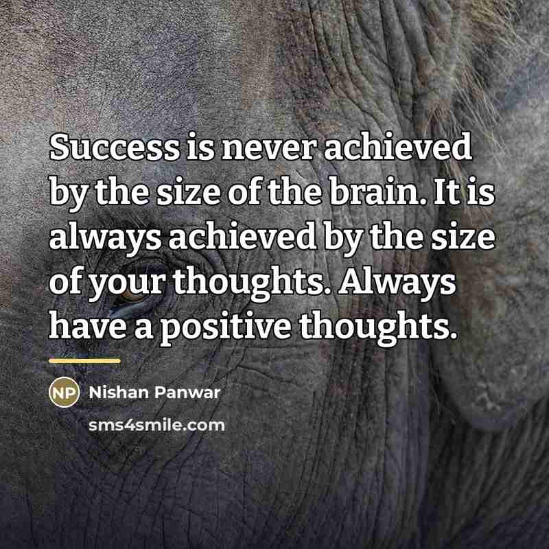 “Success is never achieved by the size of the brain.…” quote by Nishan Panwar