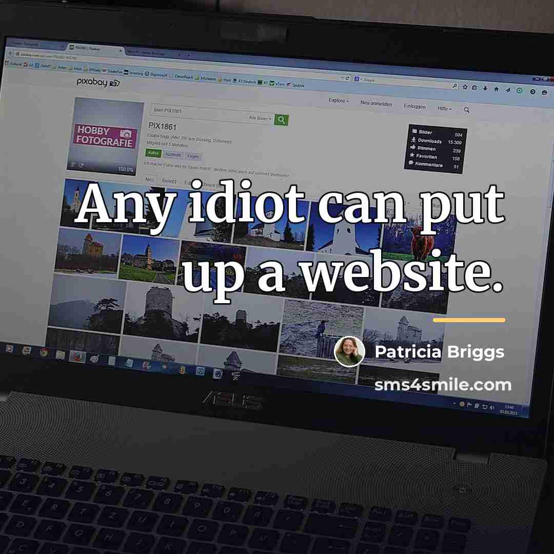 “Any idiot can put up a website.…” quote by Patricia Briggs