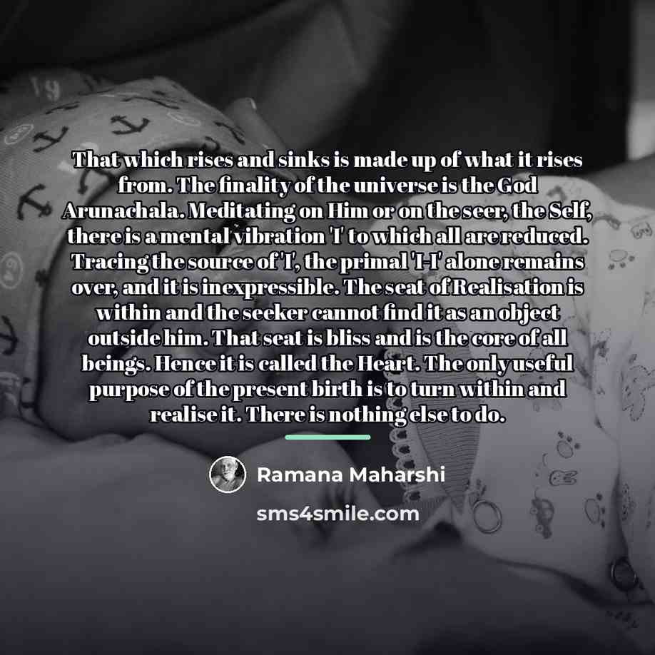 “That which rises and sinks is made up of what…” quote by Ramana Maharshi
