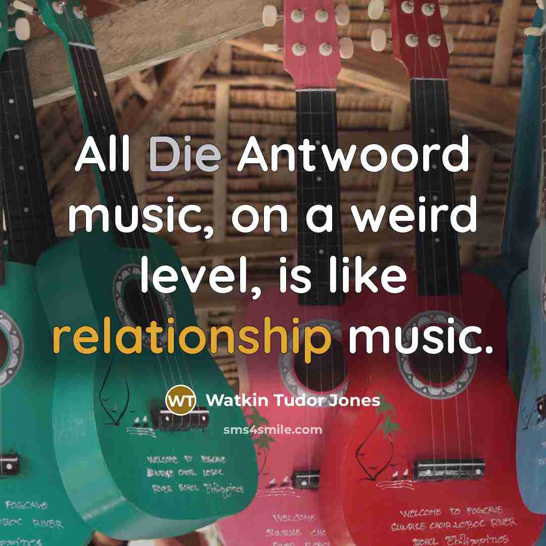 “All Die Antwoord music, on a weird level, is like…” quote by Watkin Tudor Jones