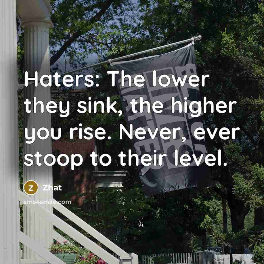 “Haters: The lower they sink, the higher you rise. Never, ever stoop to their level.” quote by Zhat