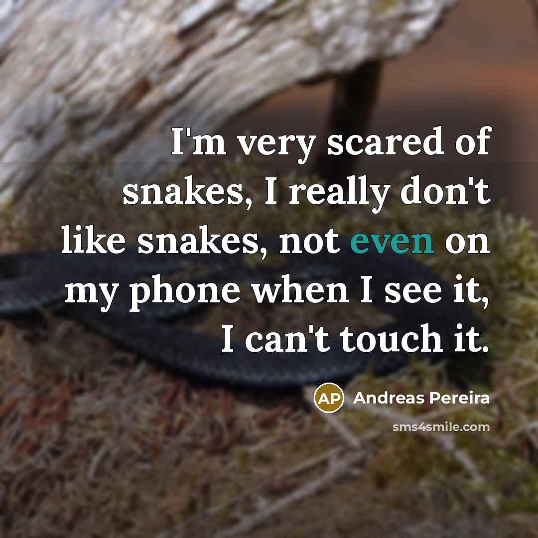 “I'm very scared of snakes, I really don't like snakes,…” quote by Andreas Pereira